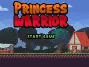 Spel Prinses vegter aanlyn Spel Prinses vegter aanlyn