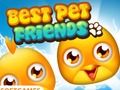 Spel Beste Pet Vriende  aanlyn