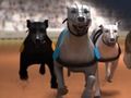 Spel Greyhound Racing aanlyn