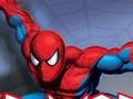 Spel Spider Warrior aanlyn