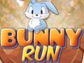 Spel Bunny Run aanlyn