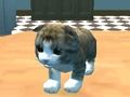 Spel Kat Simulator: Kitty Craft!  aanlyn