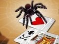 Spel Spring Spider aanlyn Spel Spring Spider aanlyn
