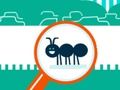 Spel Pampoentjie bug aanlyn