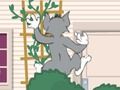 Spel Tom en Jerry: Wasserbomben Wahnsinn aanlyn Spel Tom en Jerry: Wasserbomben Wahnsinn aanlyn