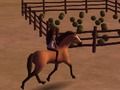 Spel Gees: Reite Los!  aanlyn