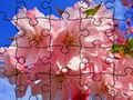 Spel Legkaart: Blomme  aanlyn