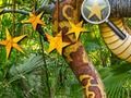 Spel Jungle Hidden Stars aanlyn