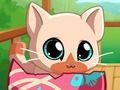 Spel My Pocket Troeteldiere Kitty Cat  aanlyn