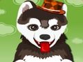 Spel Bad 'n oulike hond aanlyn Spel Bad 'n oulike hond aanlyn