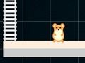 Spel Slim hamster: ewe en vreemd  aanlyn