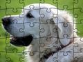 Spel Legkaart Gemak diere  aanlyn
