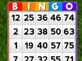 Spel Bingo aanlyn Spel Bingo aanlyn