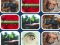 Spel Geheue probleem  aanlyn