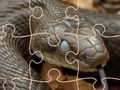 Spel Geheimsinnige slange: legkaart  aanlyn