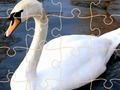 Spel Swan Puzzle Uitdaging  aanlyn