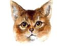 Spel Abyssinian Puzzle Challenge aanlyn