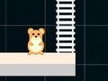 Spel Slim hamstertyd  aanlyn