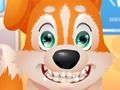 Spel Oulike hondjie tandarts aanlyn Spel Oulike hondjie tandarts aanlyn
