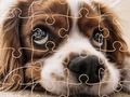 Spel Snaakse honde legkaart aanlyn Spel Snaakse honde legkaart aanlyn