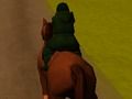 Spel Jumping Horse 3d aanlyn
