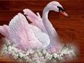 Spel Love Birds Puzzle aanlyn
