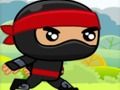 Spel Ninja aanlyn