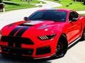 Spel Fancy Mustang verskille  aanlyn