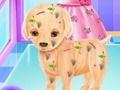 Spel Baba Elsa Puppy Chirurgie aanlyn Spel Baba Elsa Puppy Chirurgie aanlyn