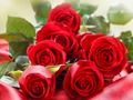 Spel Rooi rose  aanlyn