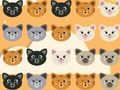 Spel Oulike Kitty Match 3 aanlyn
