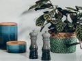Spel Vind die verskille speurder  aanlyn