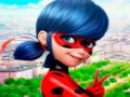 Spel LadyBug legkaart-versameling  aanlyn