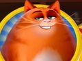 Spel Kitty Scramble aanlyn