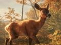 Spel Safari Jeep Car Parking SIM: Jungle Adventure aanlyn