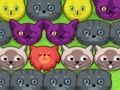 Spel Pop-pop katjies  aanlyn