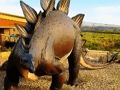 Spel Stegosaurus-dinosourus-legkaart  aanlyn