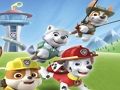 Spel Paw Patrol inkleur  aanlyn
