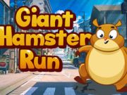 Spel Reuse Hamster Run  aanlyn