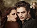 Spel Twilight Jigsaw Puzzle Collection aanlyn