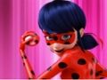 Spel Wonderbaarlike Ladybug Slide  aanlyn