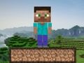 Spel Minecraft-oorlewing  aanlyn