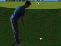 Spel Flash Golf 3D  aanlyn
