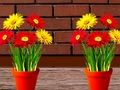 Spel Ontsnapping van blomhuis  aanlyn