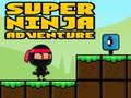 Spel Super avontuur Ninja  aanlyn