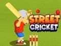 Spel Straatkrieket aanlyn Spel Straatkrieket aanlyn