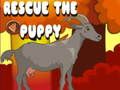 Spel Red die hondjie  aanlyn
