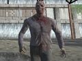 Spel Dark Forest Zombie Survival FPS aanlyn