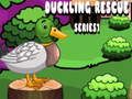 Spel Duckling Rescue Series1 aanlyn