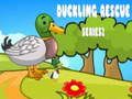 Spel Duckling Rescue Series 2  aanlyn